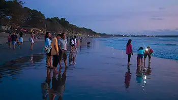 Indonesia Bali - Seminyak Beach