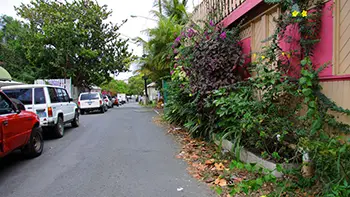 Wyspy Dziewicze Stanów Zjednoczonych - Saint Croix