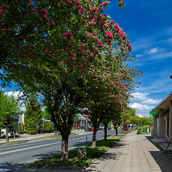 Węgorzyno  ul. Grunwaldzka