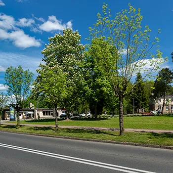 Węgorzyno  ul. Grunwaldzka