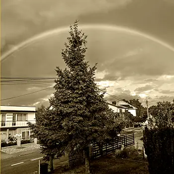 Węgorzyno  ul. Podgórna